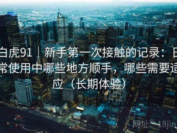 白虎91｜新手第一次接触的记录：日常使用中哪些地方顺手，哪些需要适应（长期体验）