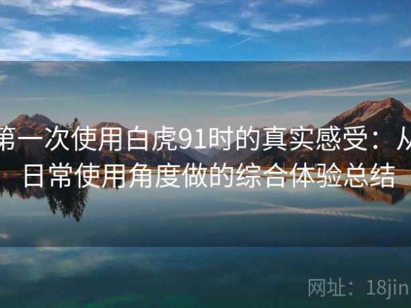 第一次使用白虎91时的真实感受：从日常使用角度做的综合体验总结