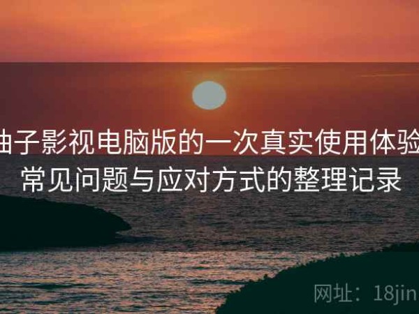 柚子影视电脑版的一次真实使用体验：常见问题与应对方式的整理记录