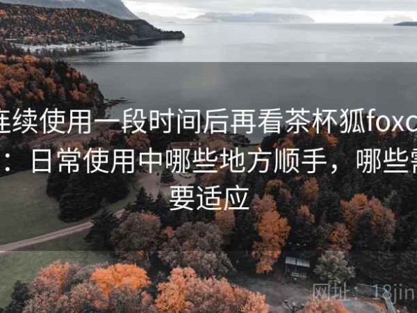 连续使用一段时间后再看茶杯狐foxcup：日常使用中哪些地方顺手，哪些需要适应
