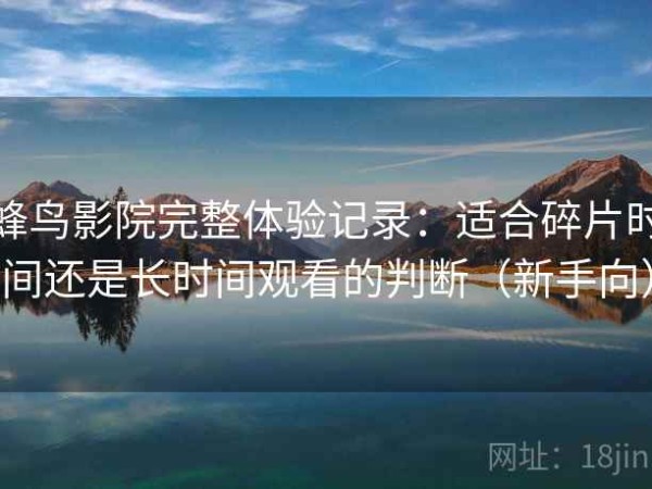 蜂鸟影院完整体验记录：适合碎片时间还是长时间观看的判断（新手向）