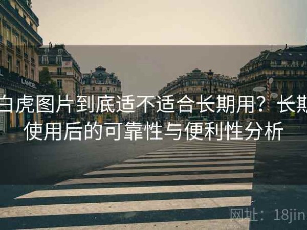 白虎图片到底适不适合长期用？长期使用后的可靠性与便利性分析