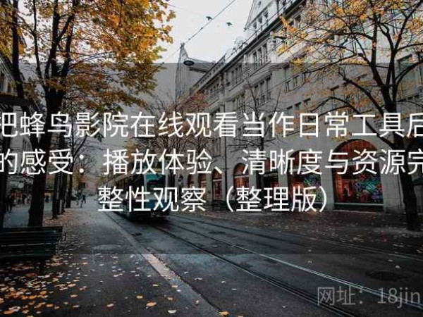 把蜂鸟影院在线观看当作日常工具后的感受：播放体验、清晰度与资源完整性观察（整理版）