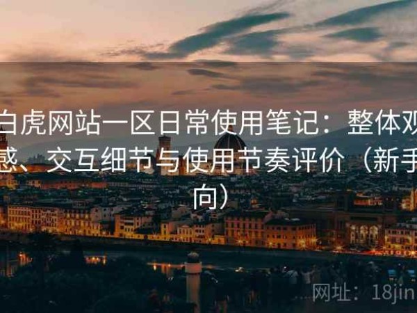 白虎网站一区日常使用笔记：整体观感、交互细节与使用节奏评价（新手向）