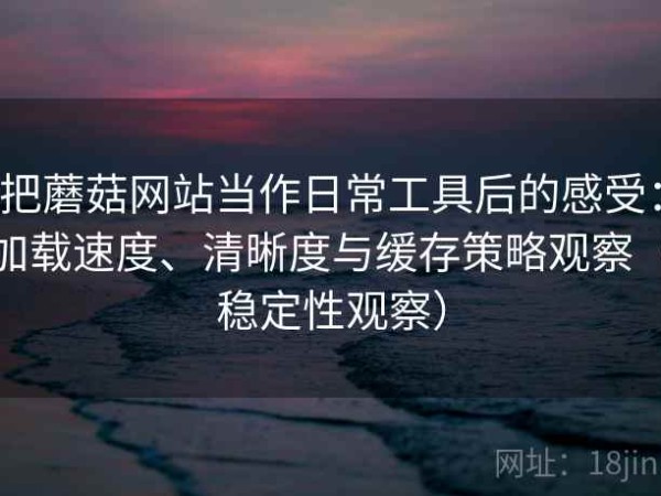 把蘑菇网站当作日常工具后的感受：加载速度、清晰度与缓存策略观察（稳定性观察）
