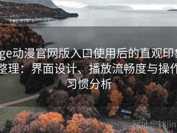 age动漫官网版入口使用后的直观印象整理：界面设计、播放流畅度与操作习惯分析