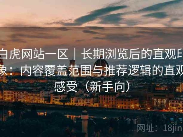 白虎网站一区｜长期浏览后的直观印象：内容覆盖范围与推荐逻辑的直观感受（新手向）