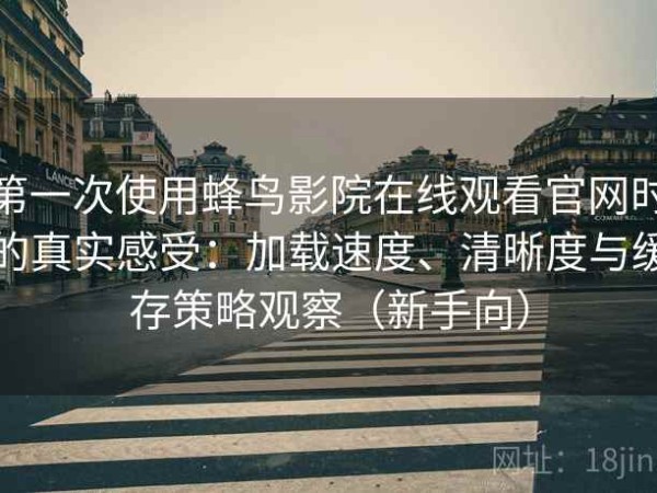 第一次使用蜂鸟影院在线观看官网时的真实感受：加载速度、清晰度与缓存策略观察（新手向）