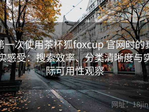 第一次使用茶杯狐foxcup 官网时的真实感受：搜索效率、分类清晰度与实际可用性观察