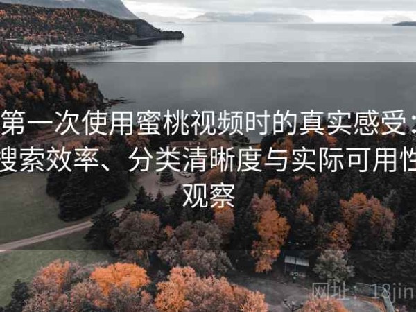 第一次使用蜜桃视频时的真实感受：搜索效率、分类清晰度与实际可用性观察