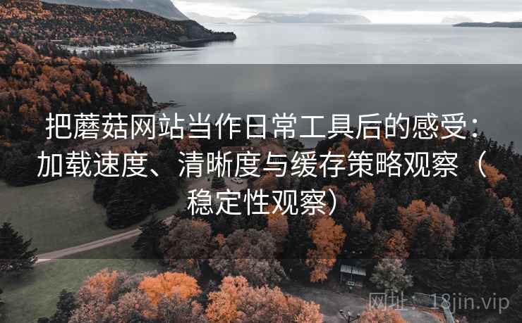 把蘑菇网站当作日常工具后的感受:加载速度、清晰度与缓存策略观察(稳定性观察) 把蘑菇网站当作日常工具后的感受:加载速度、清晰度与缓存策略观察(稳定性观察)
