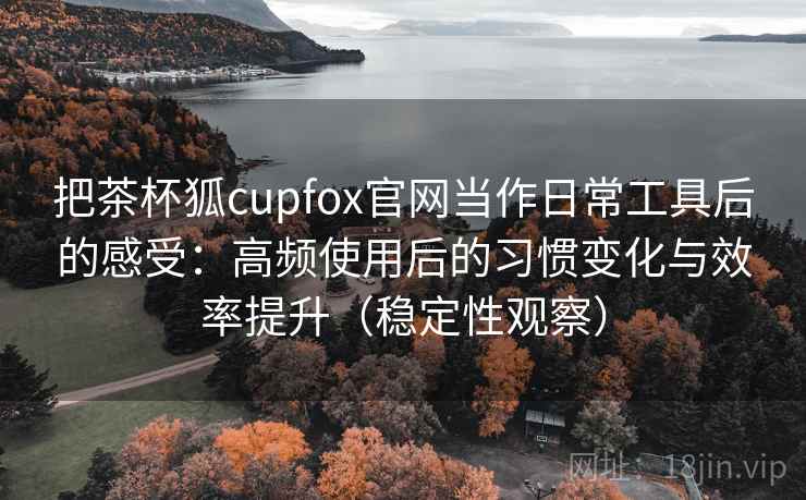 把茶杯狐cupfox官网当作日常工具后的感受：高频使用后的习惯变化与效率提升（稳定性观察）