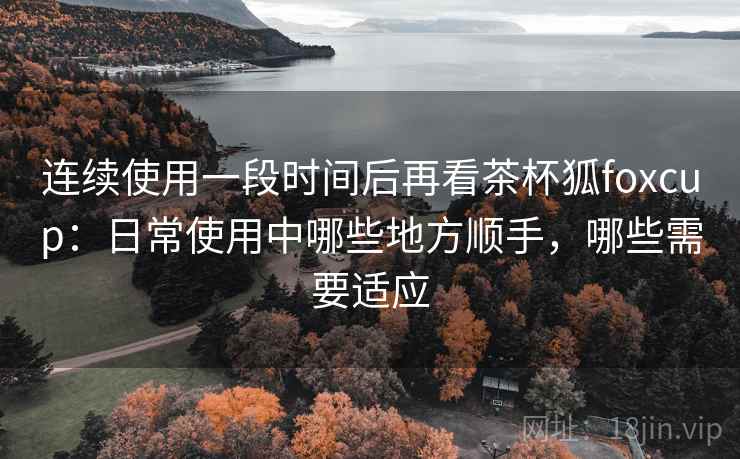 连续使用一段时间后再看茶杯狐foxcup：日常使用中哪些地方顺手，哪些需要适应