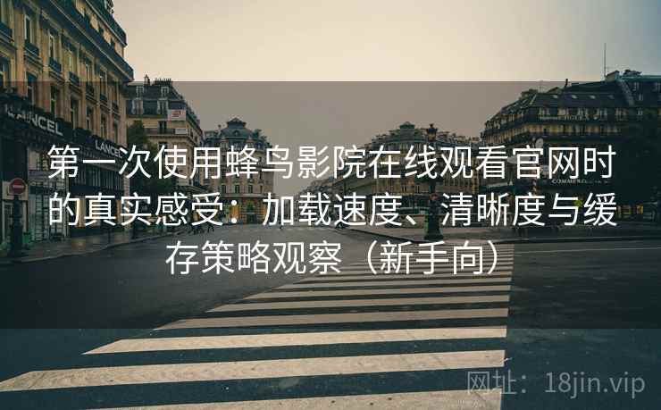 第一次使用蜂鸟影院在线观看官网时的真实感受：加载速度、清晰度与缓存策略观察（新手向）