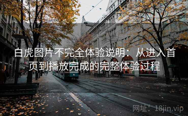 白虎图片不完全体验说明：从进入首页到播放完成的完整体验过程